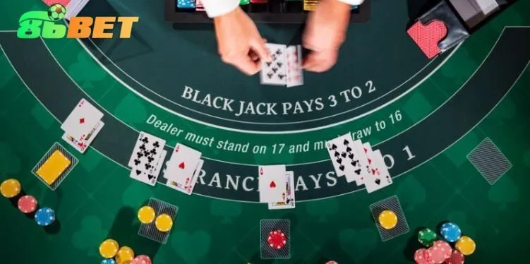 Chuẩn bị và phân phối trong Blackjack 86bet