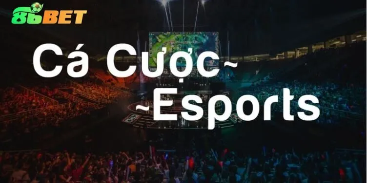 Bật mí mẹo hay để tham gia cá cược E-sport 86bet thắng lớn