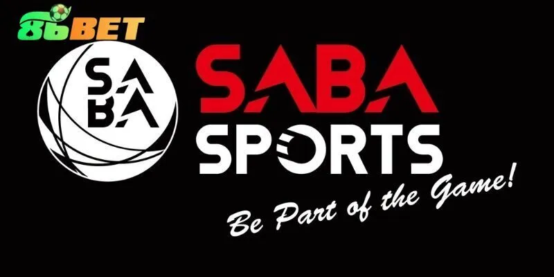 Top 4 lĩnh vực cá cược siêu hot tại Saba  